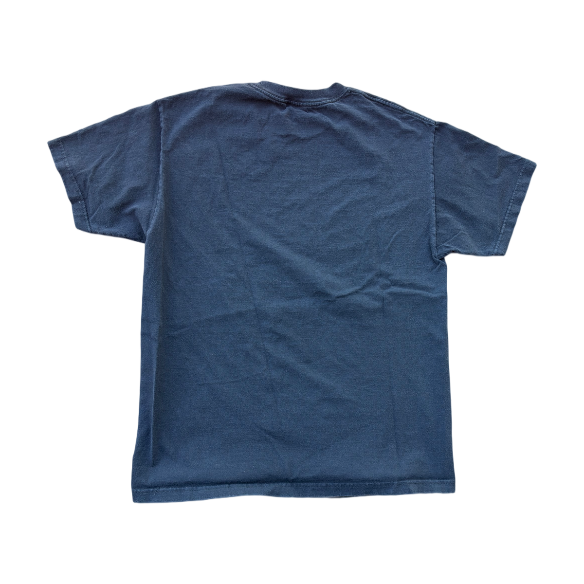 st dominic school tee
