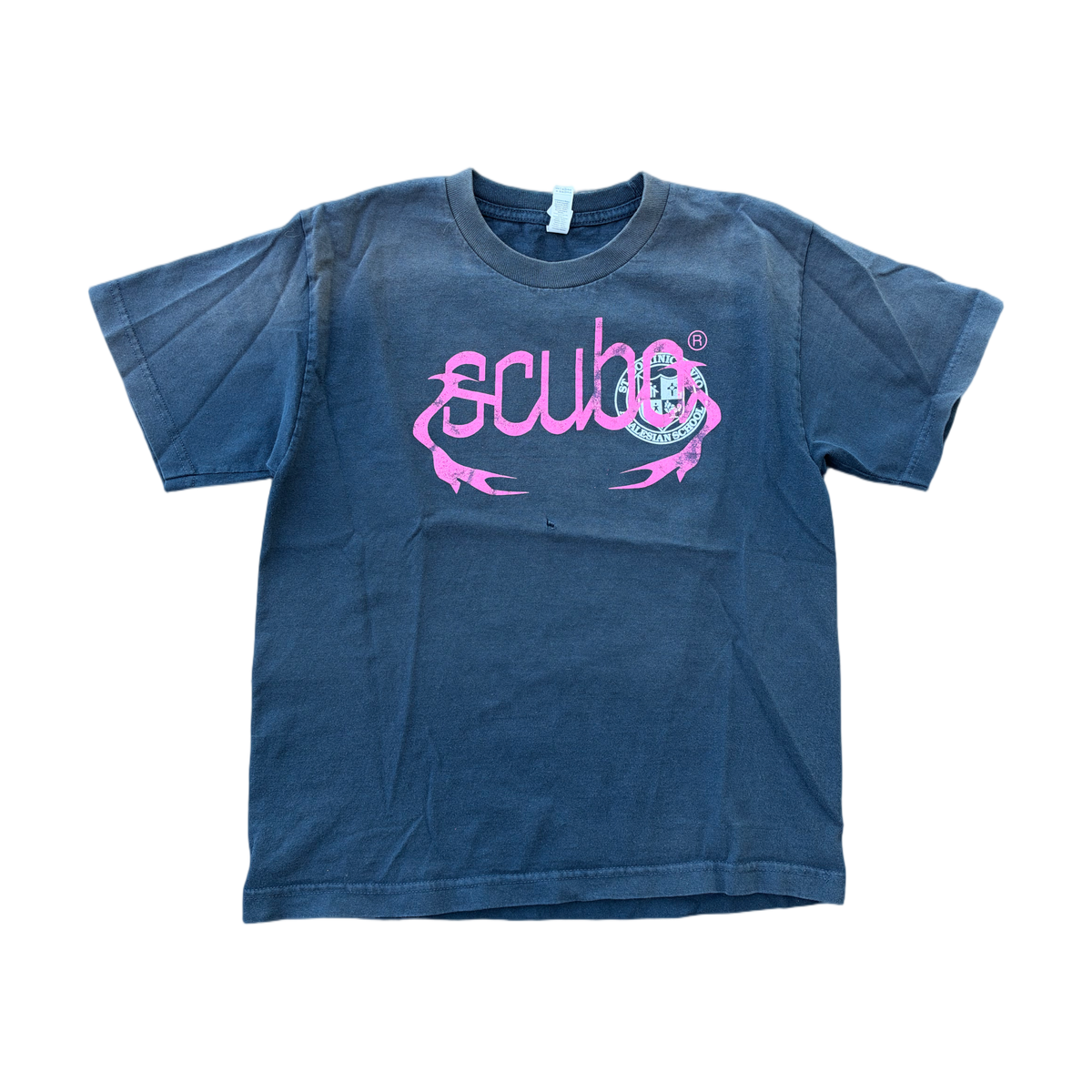 st dominic school tee