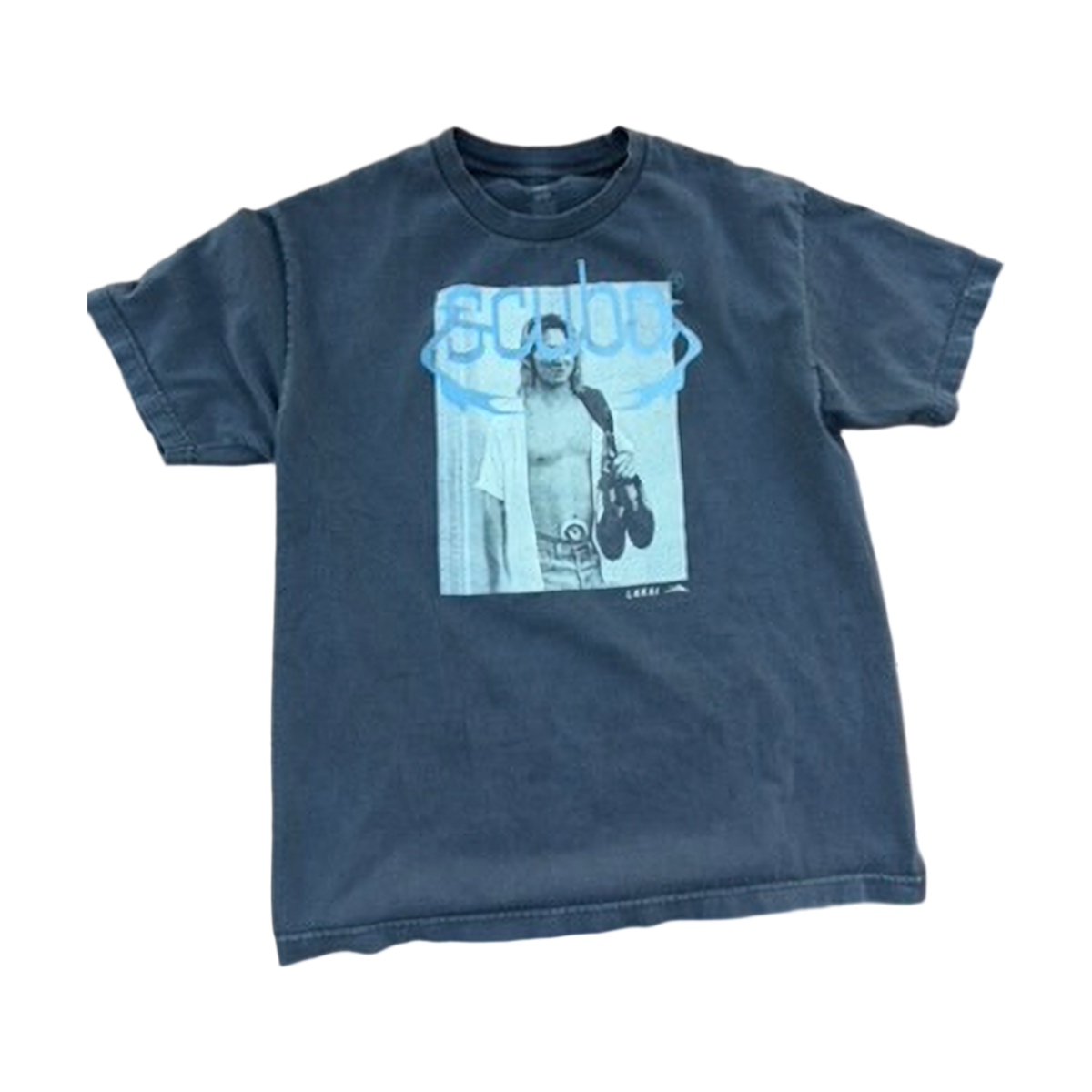 lakai surfer tee