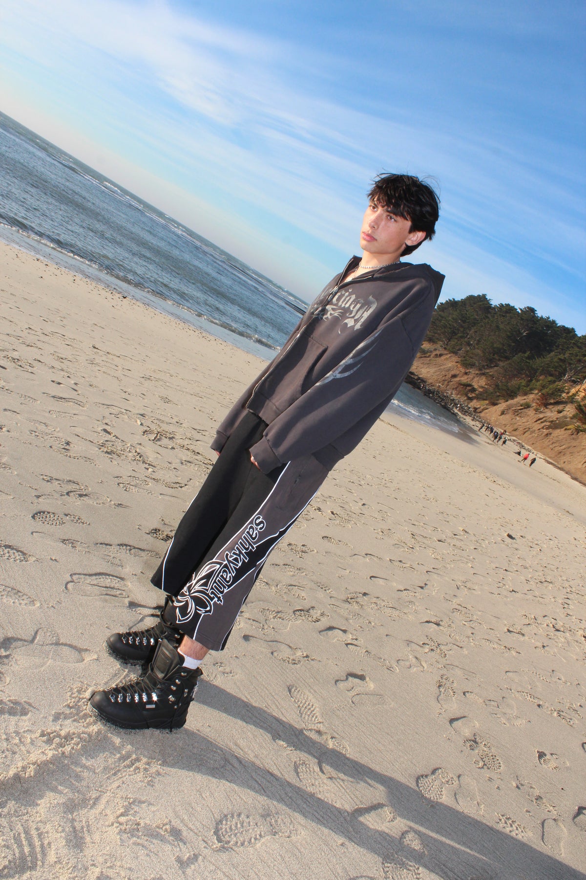 shants purple