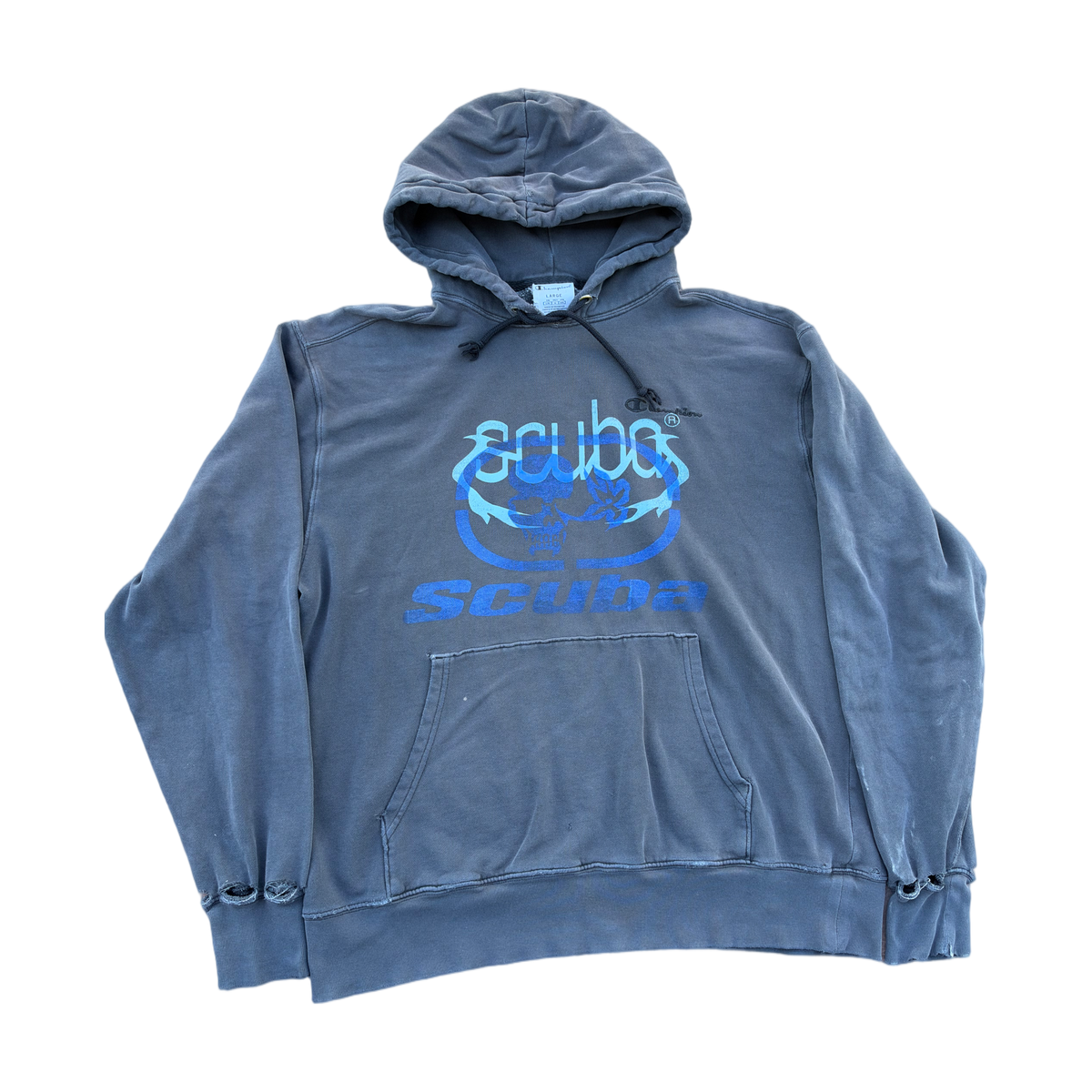 thrashed champion sunfaded hoodie
