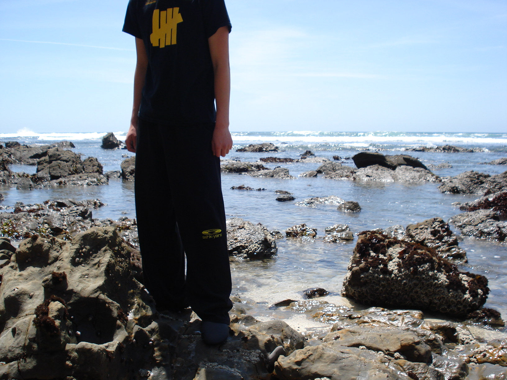 surf pant v2 [navy]