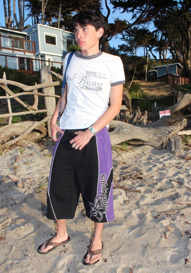 shants purple