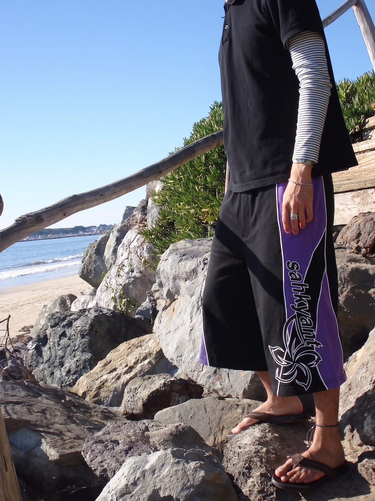 shants purple